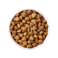 Yarrah - Droogvoer Hond Vega Bio -Nieuwe Pootjes yarrah droogvoer hond vega bio 188403 1000 none