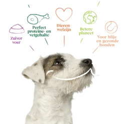 Yarrah - Natvoer Hond Kuipje Paté Met Rund En Kip Bio -Nieuwe Pootjes yarrah natvoer hond kuipje pat met rund en kip bio 199055 1000 none