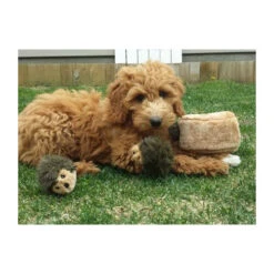 ZippyPaws Zippy Burrow Hedgehog Den -Nieuwe Pootjes zippypaws zippy burrow hedgehog den 221069 0500 none